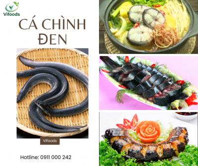 Cá chình đen, đặc sản thơm ngon mọi người nên thử
