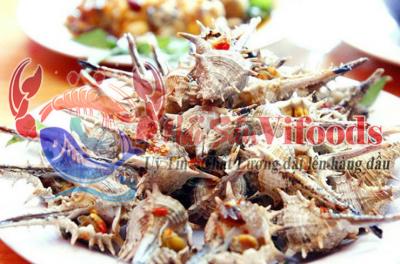 Mua ốc gai, chất lượng tươi sống, rẻ tại TP.HCM