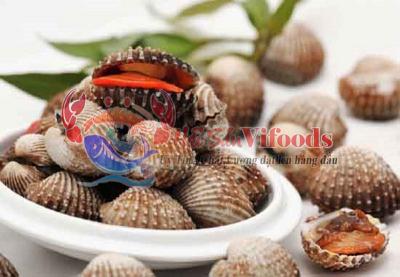 Sò Huyết Cồ, mua ngao sò ốc giá rẻ TpHCM